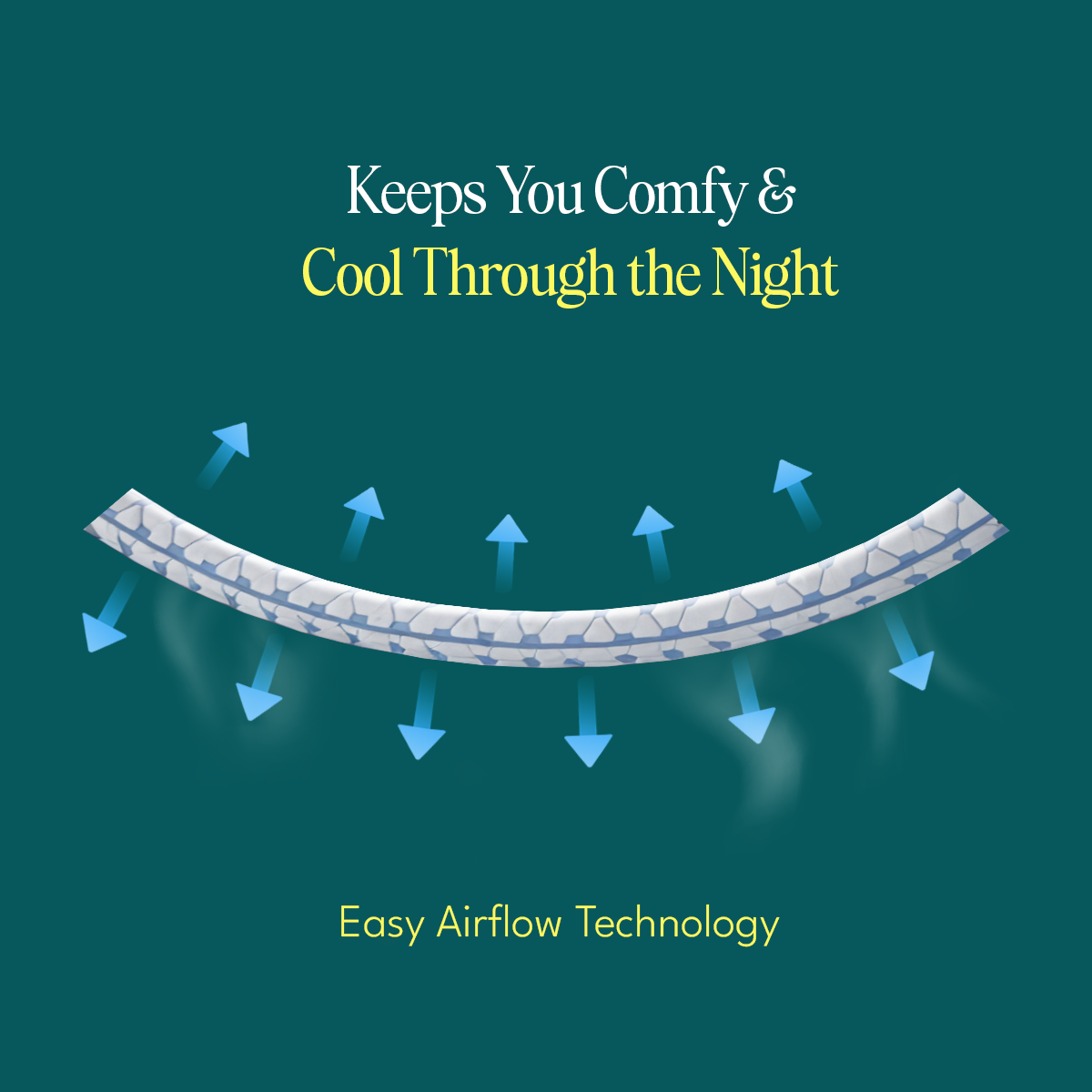 2" & 3" Zoned Memory Foam Topper
