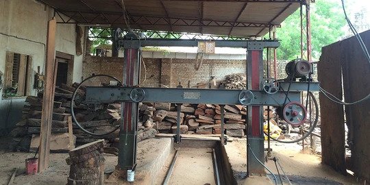 saw machines cuts the wooden logs