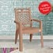 Virgin Plastic Arm Chair for Home and Garden